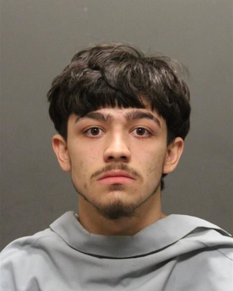 Mug shots 2019